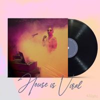 Dj Mad - HouSe iS vIRal