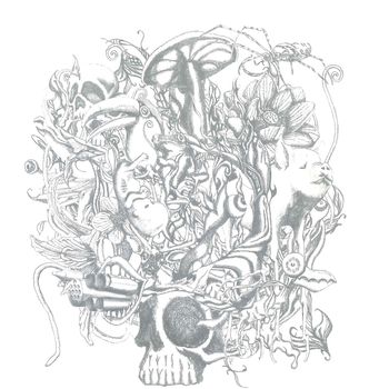 NIGHTMARE - anima