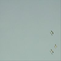T_A_M - Strom