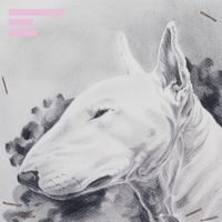 Terranova - Painkiller