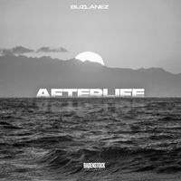 Buzlanes - Afterlife (Slwed)