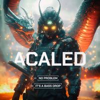 Acaled - No Problem, It's a Bass Drop