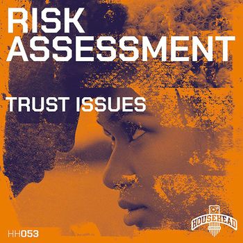 Risk Assessment - Trust Issues