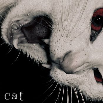 Wool - Cat (Explicit)
