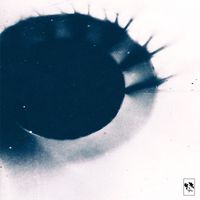 Far Caspian - Autofiction