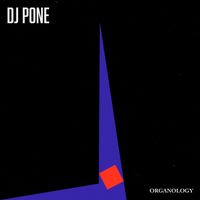 DJ Pone - Organology