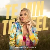 Karlien van Jaarsveld - Te Min, Teveel