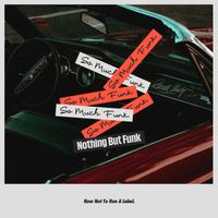 Nothing But Funk - So Much Funk