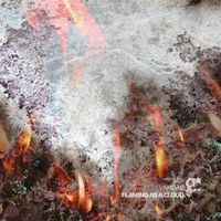 Vardae - Flaming As A Cloud