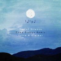 Saive, Kleiber - Out of Silence (Zuma Dionys Remix)