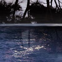 Shcaa - Beautiful Situation