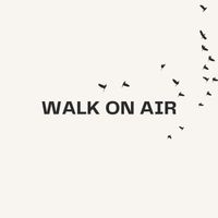 DLX - Walk On Air