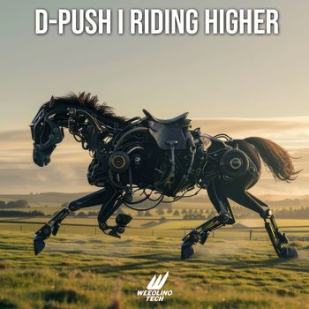 D-Push - Riding Higher
