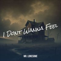 Mr. Lonesome - I Dont Wanna Feel