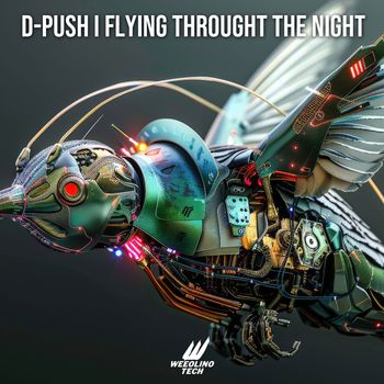 D-Push - Flying Trough The Night