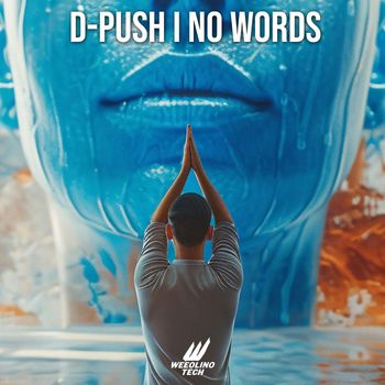 D-Push - Now Words