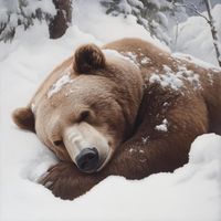 Present Artist X - While We Winter