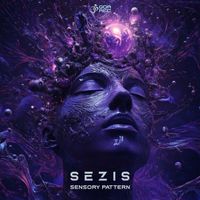 Sezis - Sensory Pattern