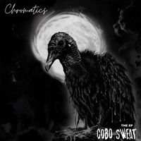 Chromatics - Cobo Sweat (Explicit)