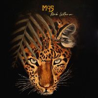 Mark Wilkinson - M95