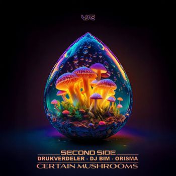 Second Side - Certain Mushrooms