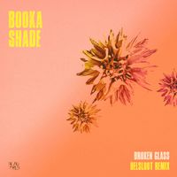 Booka Shade - Broken Glass (Helsloot Remix)