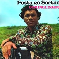 Dominguinhos - Festa no Sertão