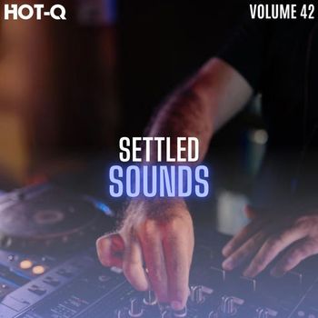 Various Artists - Settled Sounds 042
