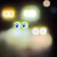 pets - headlights