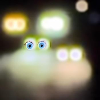 pets - headlights