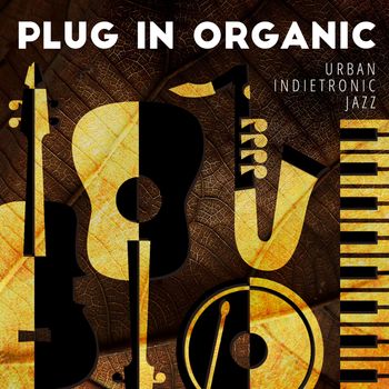 Joscha Arnold - Plug in Organic