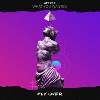 AFTRFX - What You Wanted