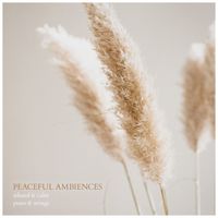 Dan Foster - Peaceful Ambiences