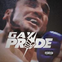 David Potter - Gay PRIDE (Explicit)