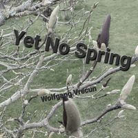 Wolfgang Vrecun - Yet No Spring