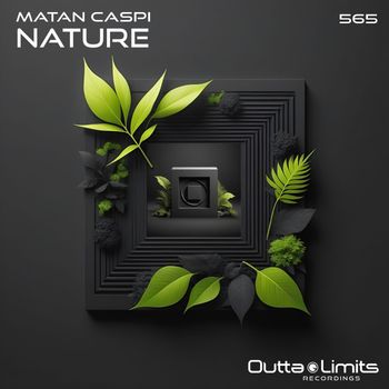 Matan Caspi - Nature
