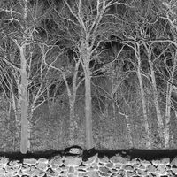 Pile - Sunshine and Balance Beams (Explicit)