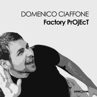 Domenico Ciaffone - Factory Project