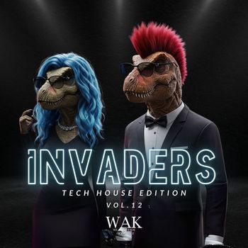 Various Artists - INVADERS, Vol. 12