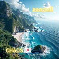 CHAOS - seagull