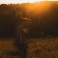 Sam Fraser - All At Once (Explicit)