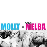 molly - Peach Melba