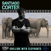 Santiago Cortes - Chilling With Elephants (Extended Mix)