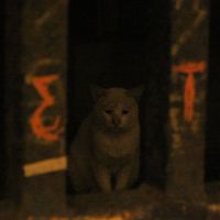 Mania - canciones para dormir y no despertar.