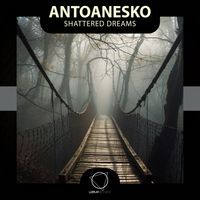 antoanesko - Shattered Dreams