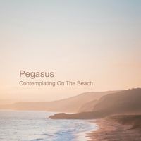 Pegasus - Contemplating On The Beach (Contemplating On The Beach)