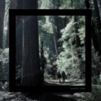Still Life - introducing