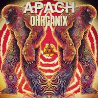 Apach - Ohrganix