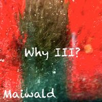 Maiwald - Why III?