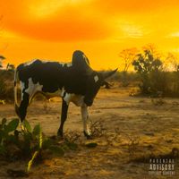 Gustavo - Les Plumes (Explicit)